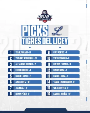 Licey-582x728