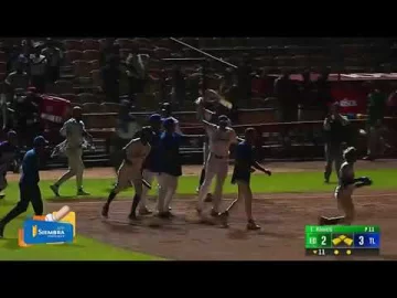 Sergio Alcántara con la del gane para los Tigres del Licey 🐯🙌🏻