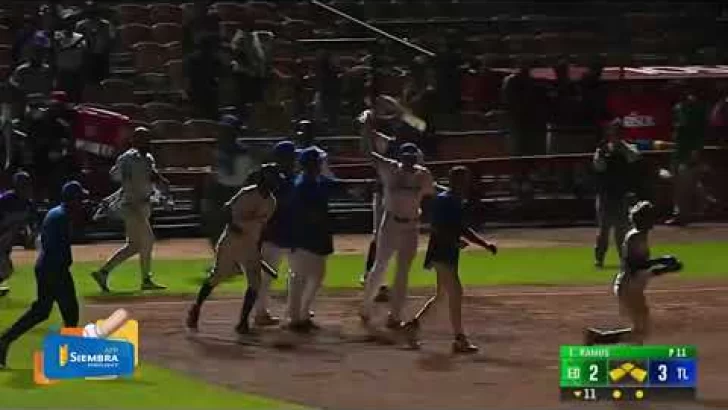 Sergio Alcántara con la del gane para los Tigres del Licey 🐯🙌🏻