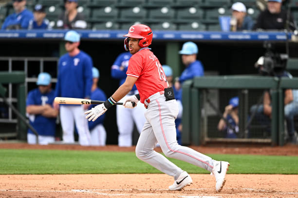 Sánchez mejor bateador en MILB