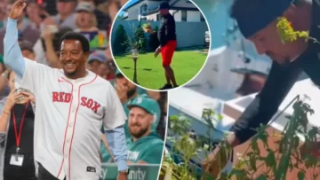 Ahora se relaja manteniendo sus jardines “cuidados y hermosos”