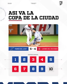 COPAS-REGIONALES-LIDOM-02-583x728