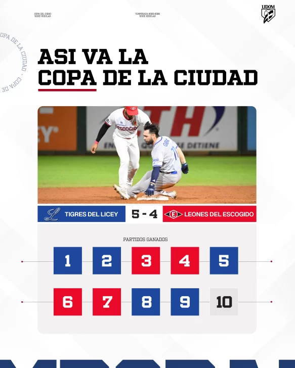 COPAS-REGIONALES-LIDOM-02-583x728