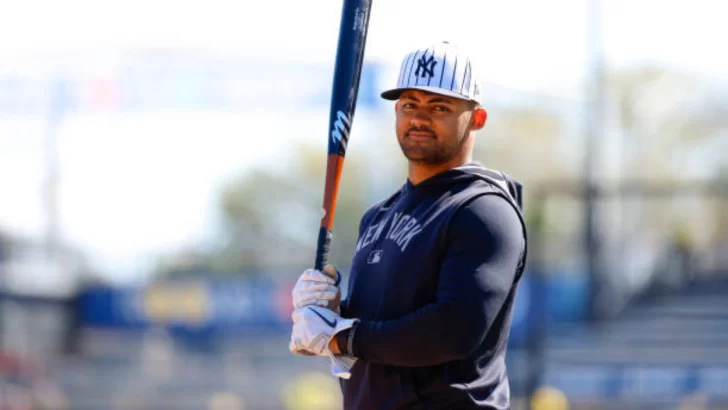 Jasson Domínguez en la balanza Jasson Domínguez en la balanza